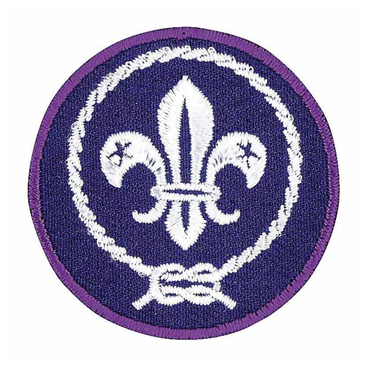Air Scout world crest patch badge